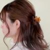 ヘアクリップ くま テディベア クリア 6cm バンスクリップ